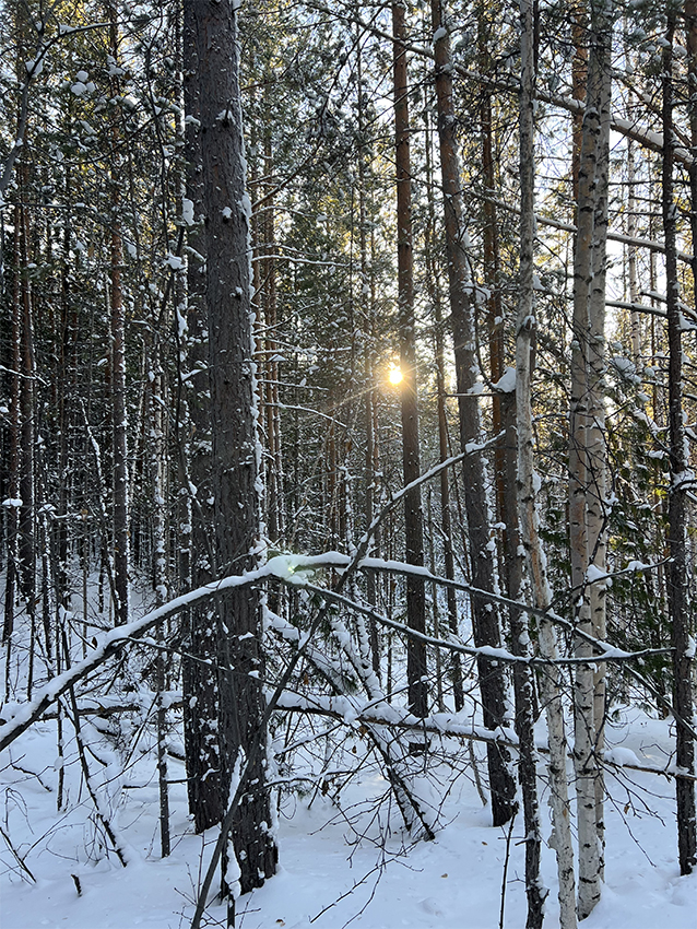 �������������� ������