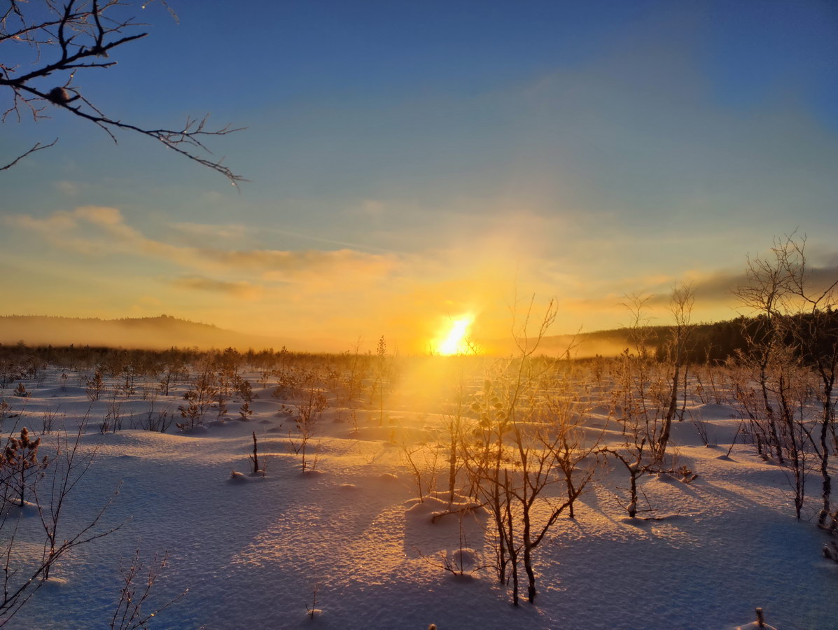 ���� �� ������� ����������