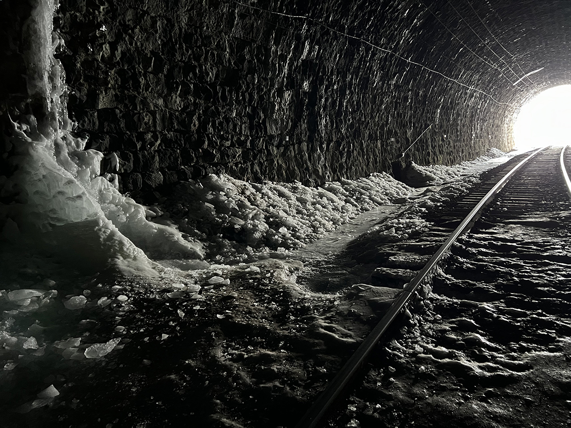 �����-����� ���� ������� ��������