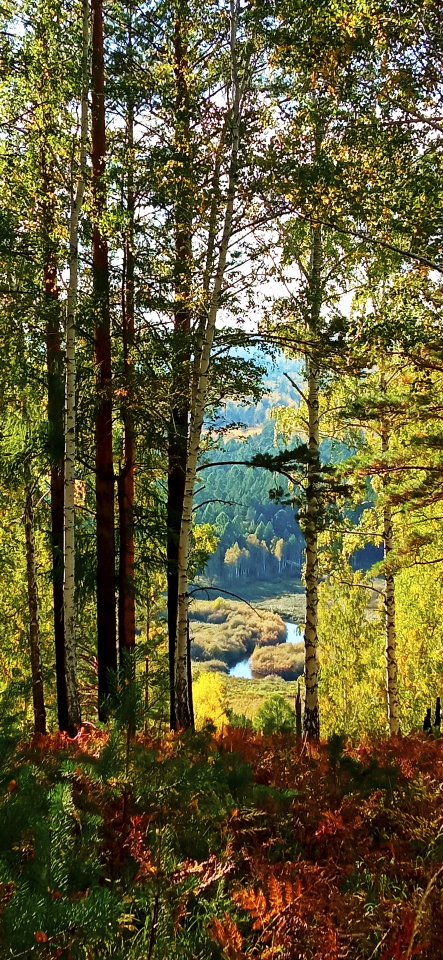 ... ����� ���������� ...