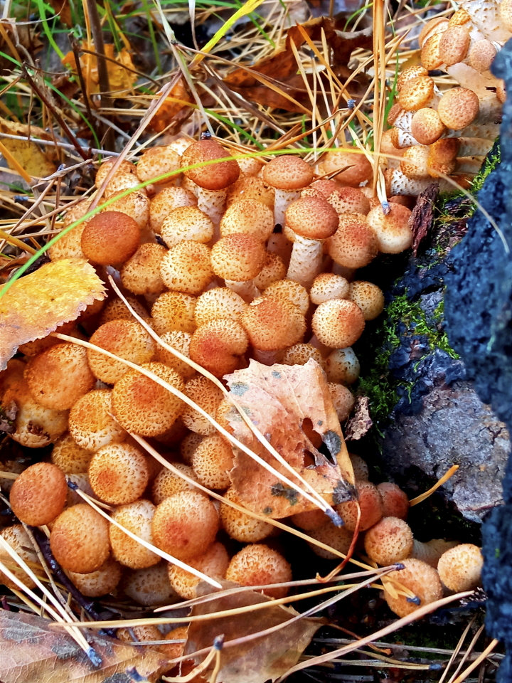 � �������� ����� 2