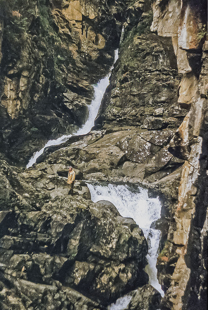 �������� ������ ��������� �� �. �������