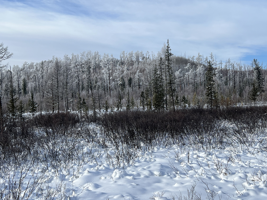 �������� ������� ��������