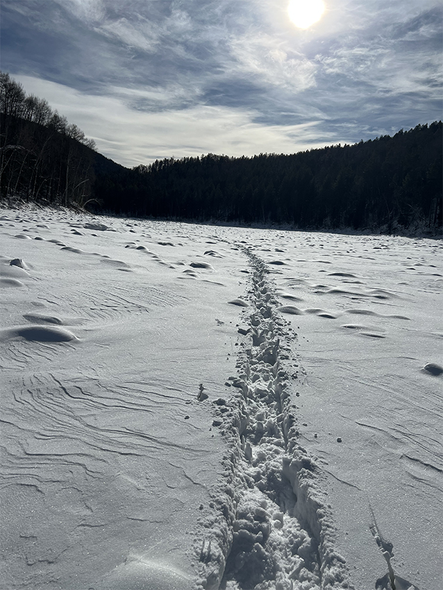 � ��� ������ �������