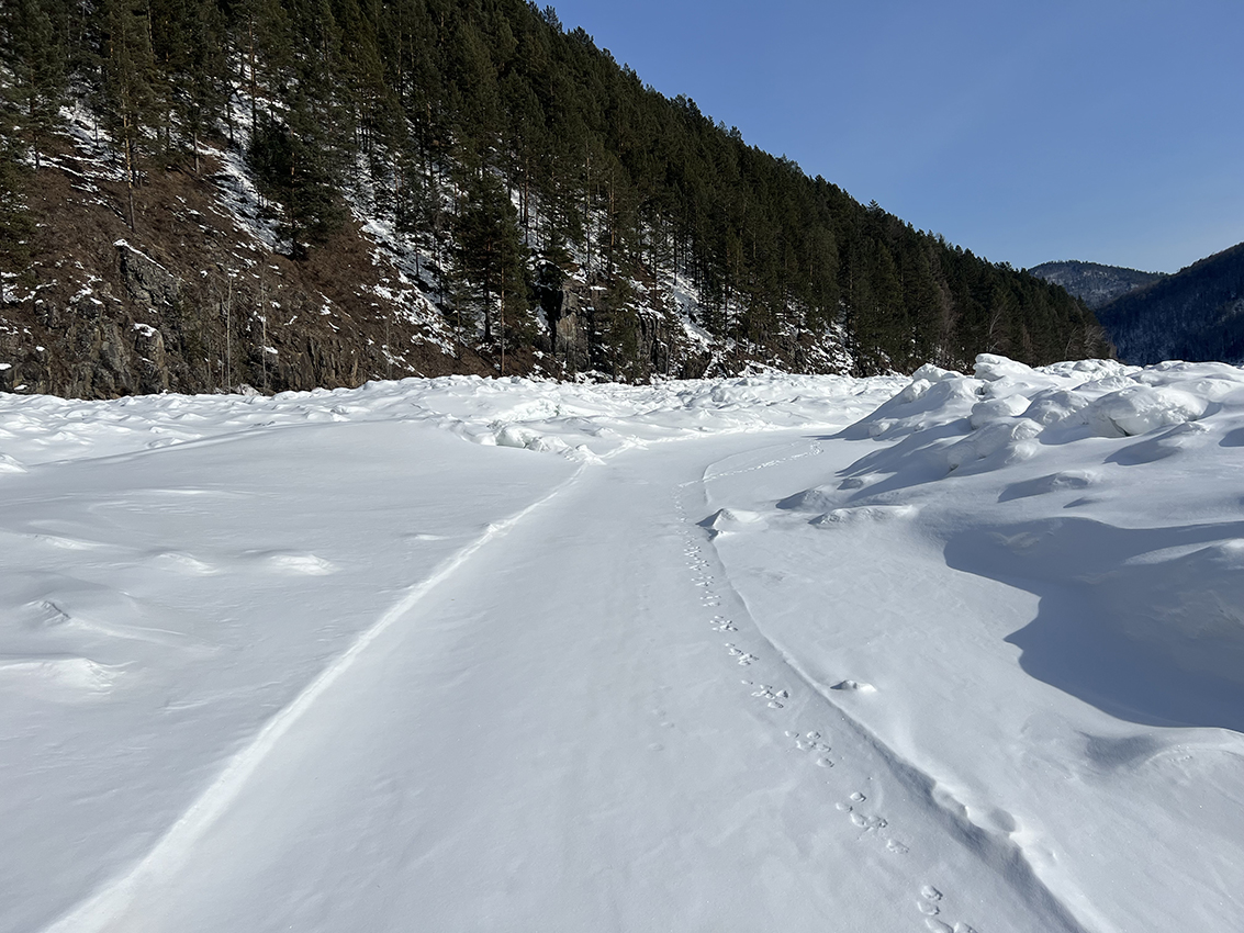 �� "�������" ������