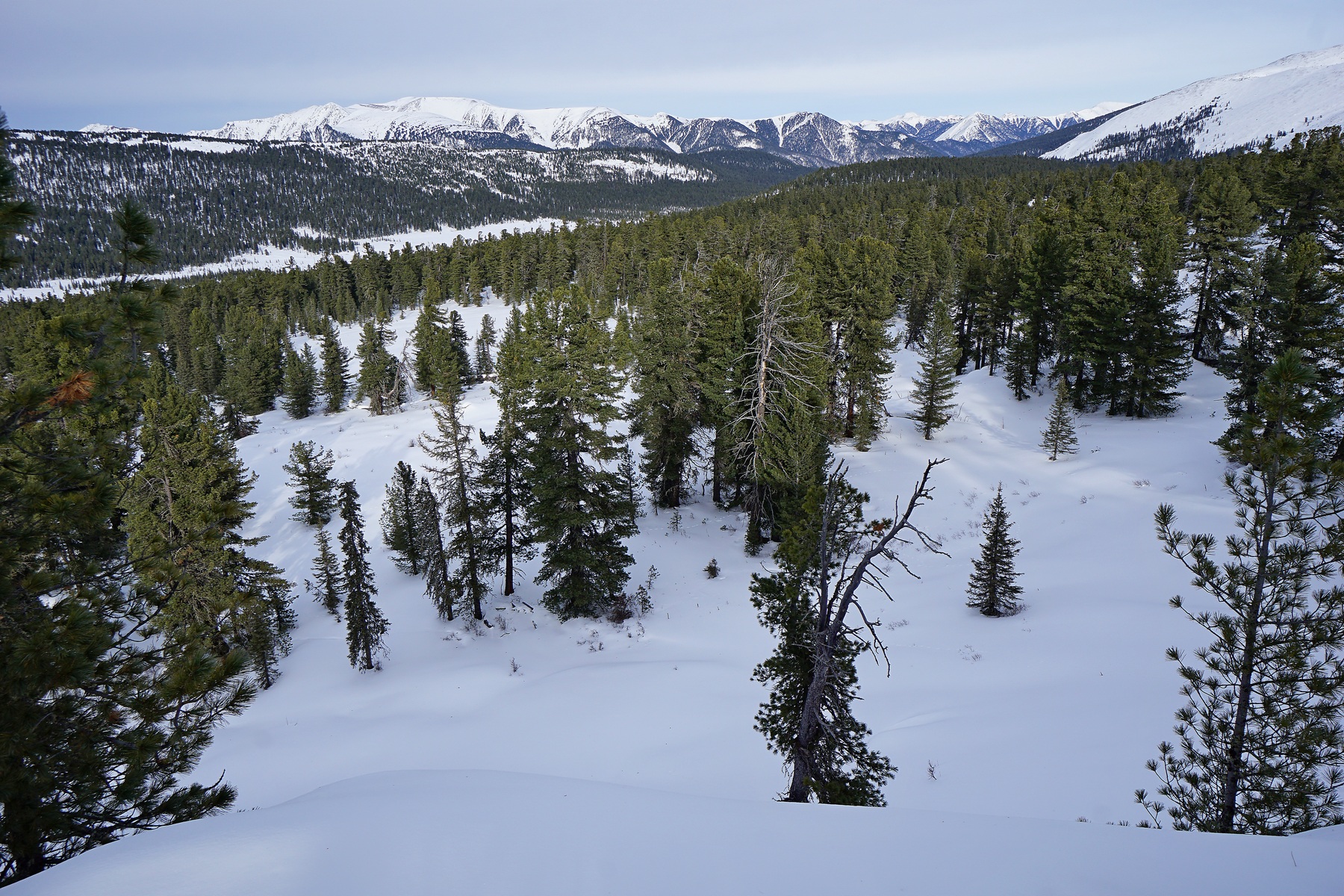 ����� ��� ������ ��� ������