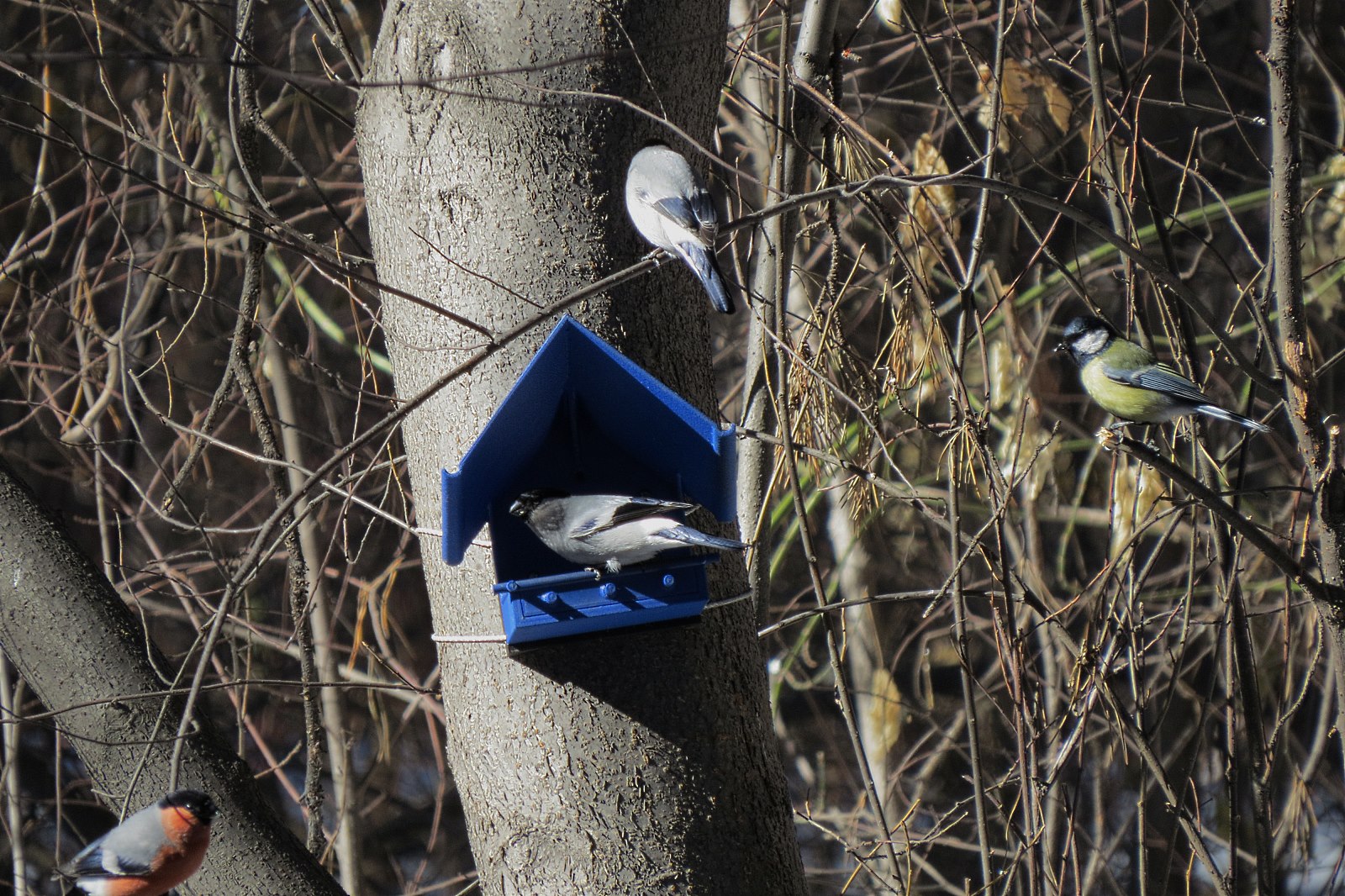 �������