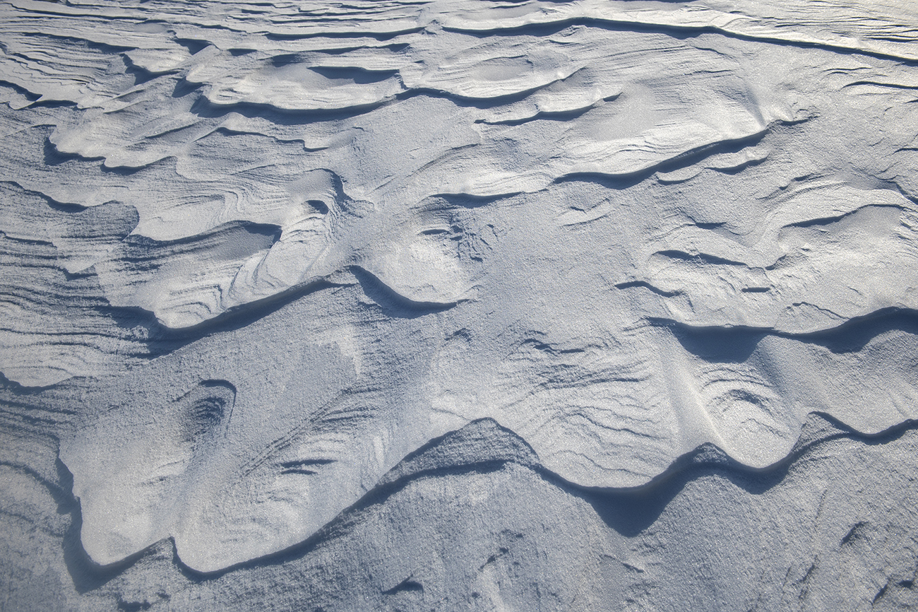 ������ �����