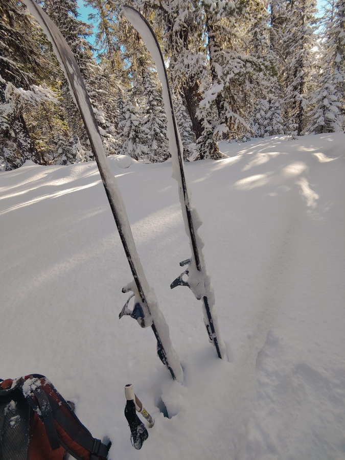 �������� ������� �� �����