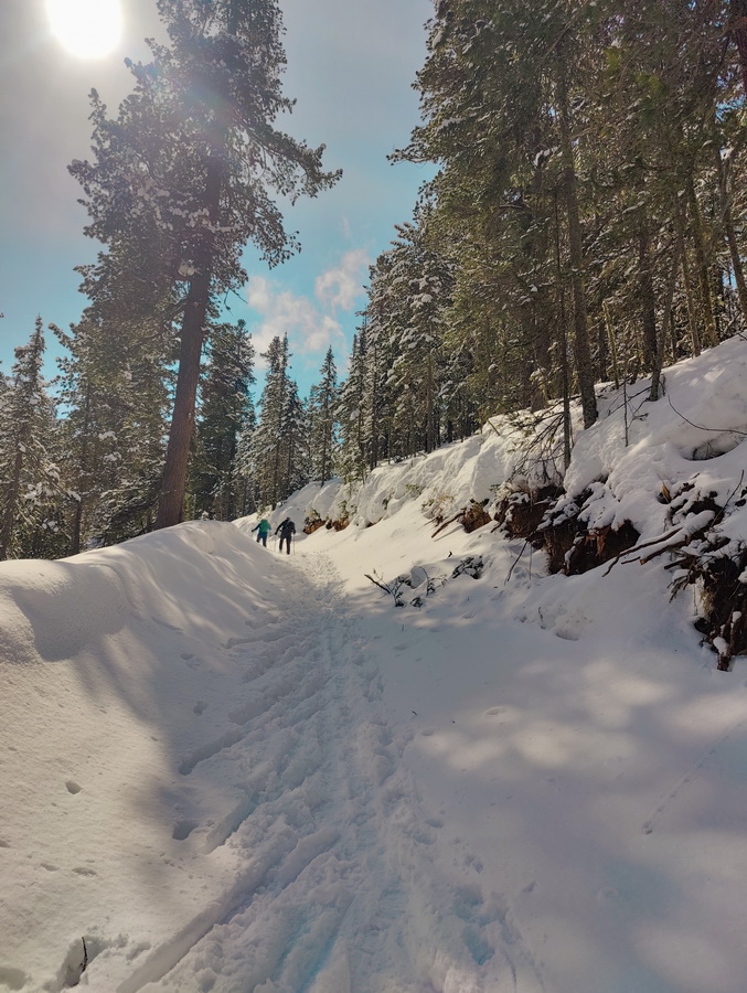 ����� ��������. ����� �������