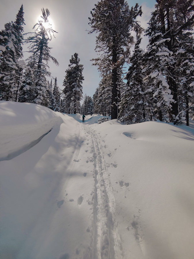 � ��������� ��������