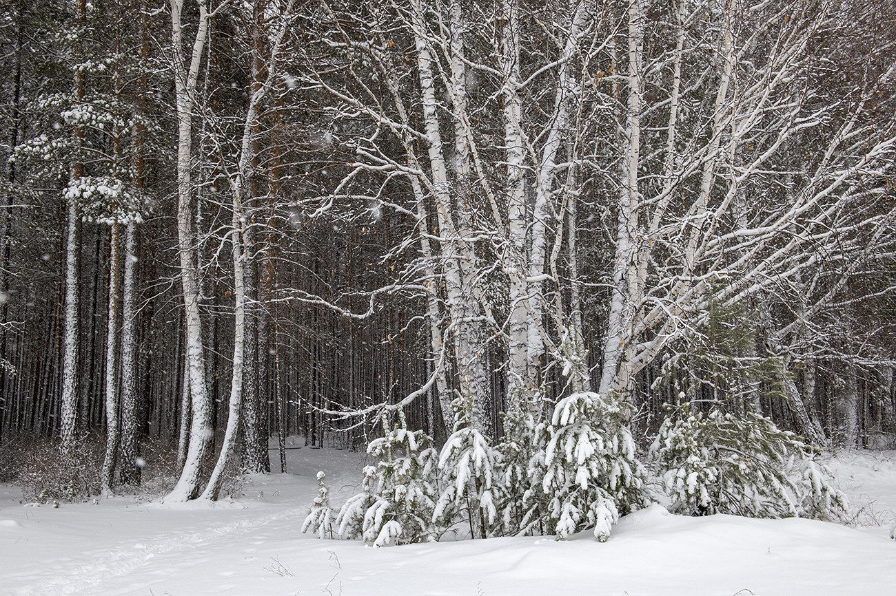 ����� ����� ������