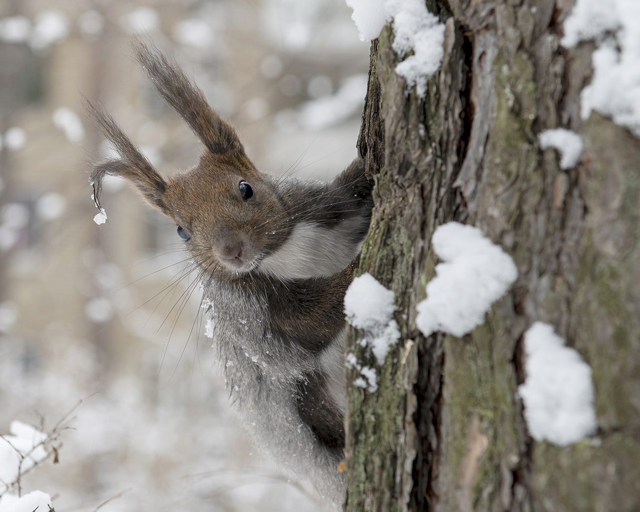 ������, � �� ���?