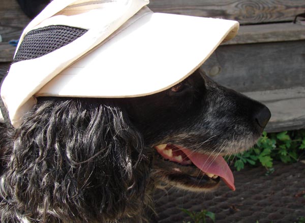 �� ����!