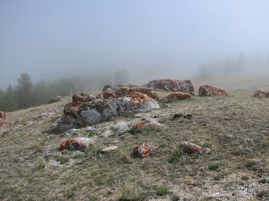 ��� ����� ������