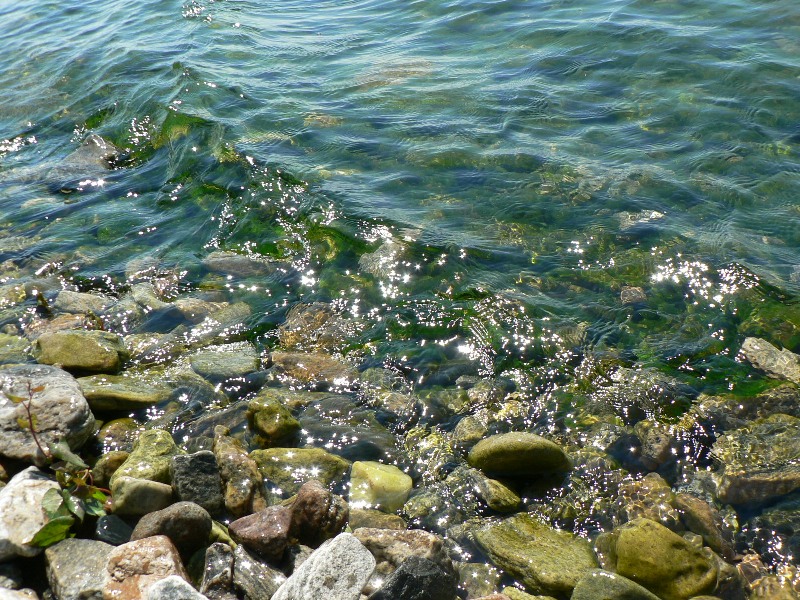 Воды байкала чисты и прозрачны. Байкал прозрачность воды. Чистая вода Байкала. Байкал летом прозрачная вода. Байкал чистота воды.