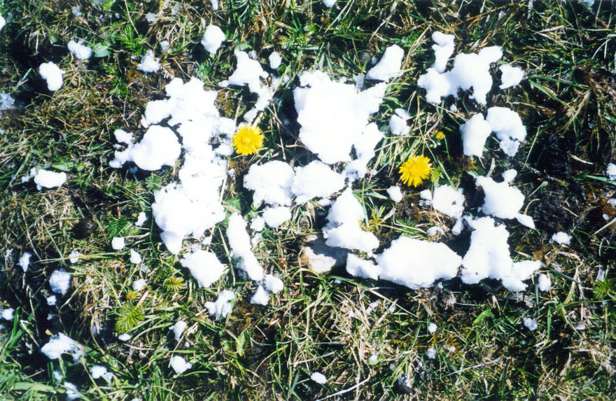 ����� ����� �����