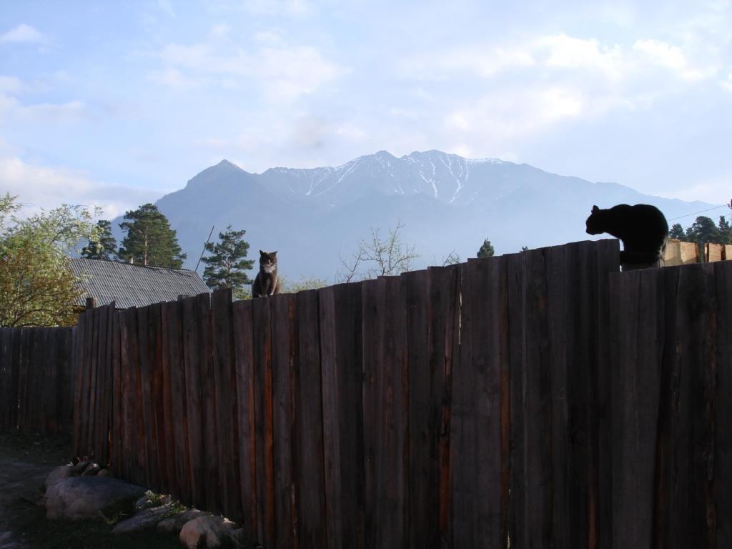 ������� �� ��������