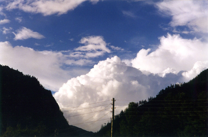 ������ ��� ������� ��������