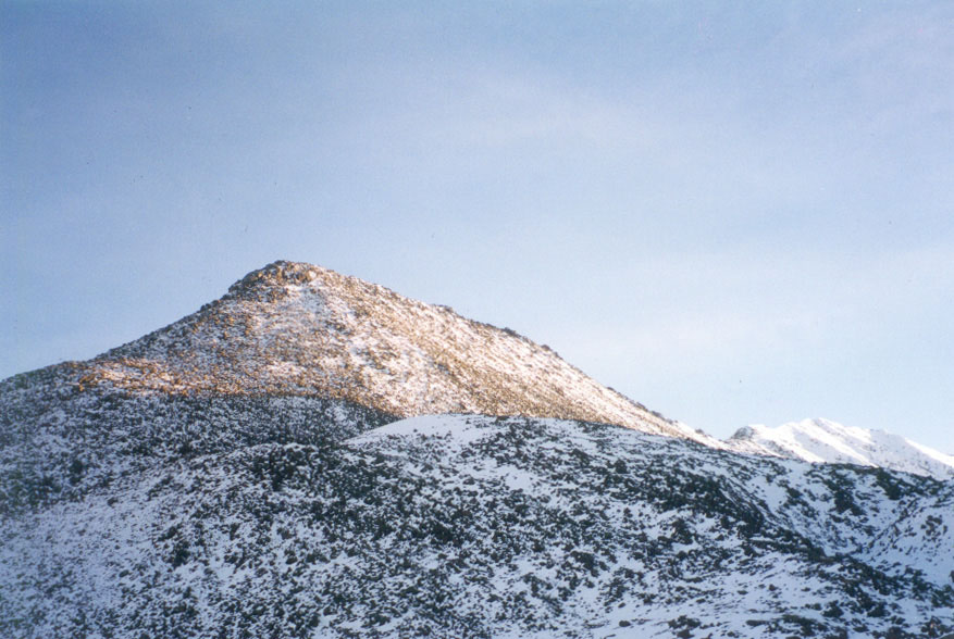 ���� ��� �������� ����� �� �������� ���������