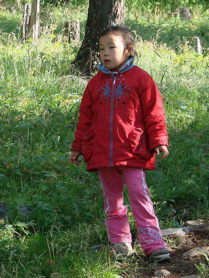 ������-���������