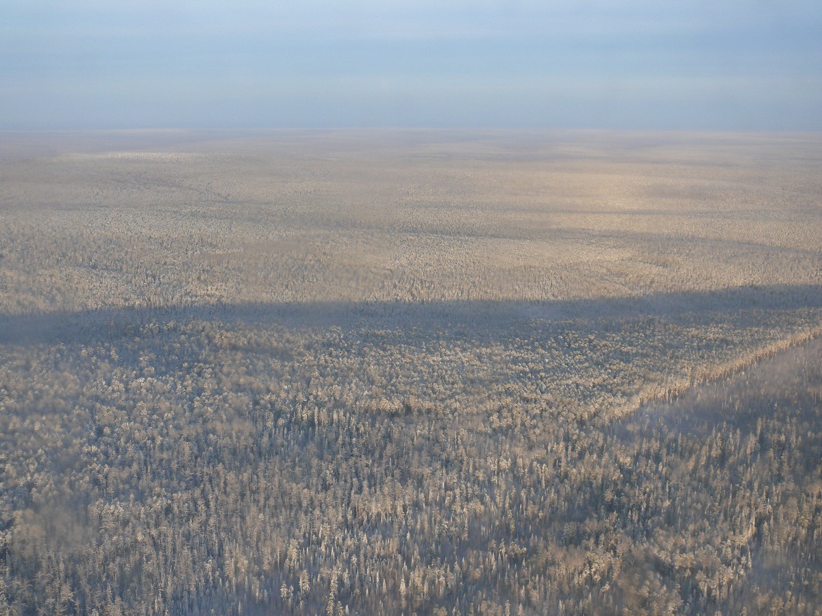 �� ��� � ����� ���������