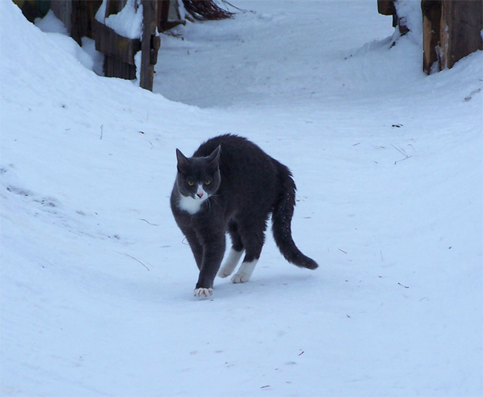 ��, � ��� ��������� �����?