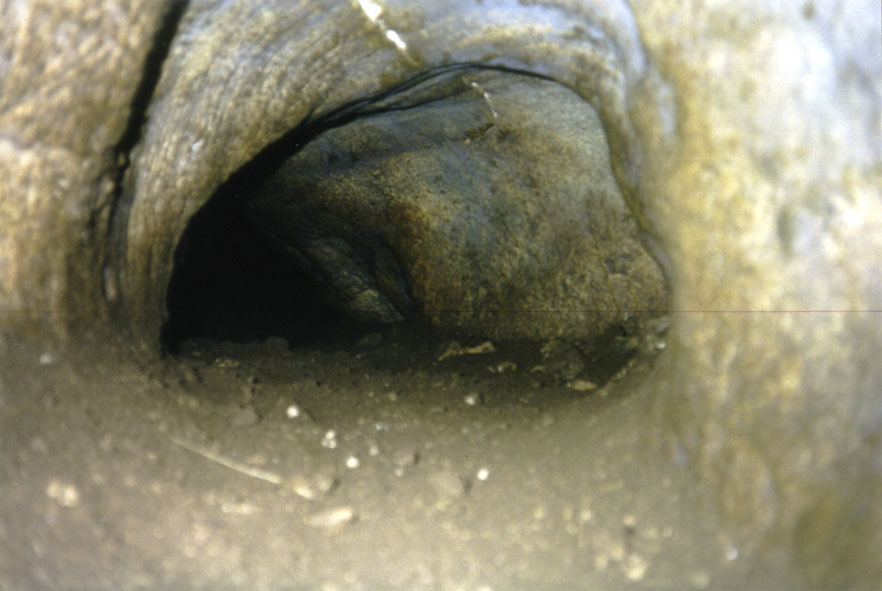 ������ � ������ �������