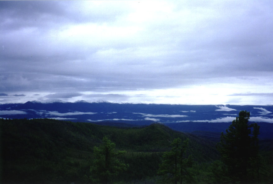 ����� ����