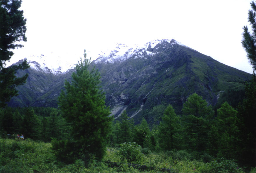 ���� ��� ���-�����