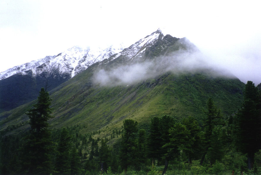 ���� � ������� ��� ���������