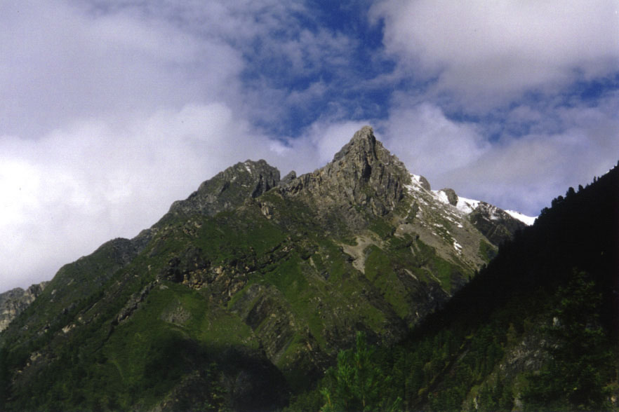 "���" ��� �������