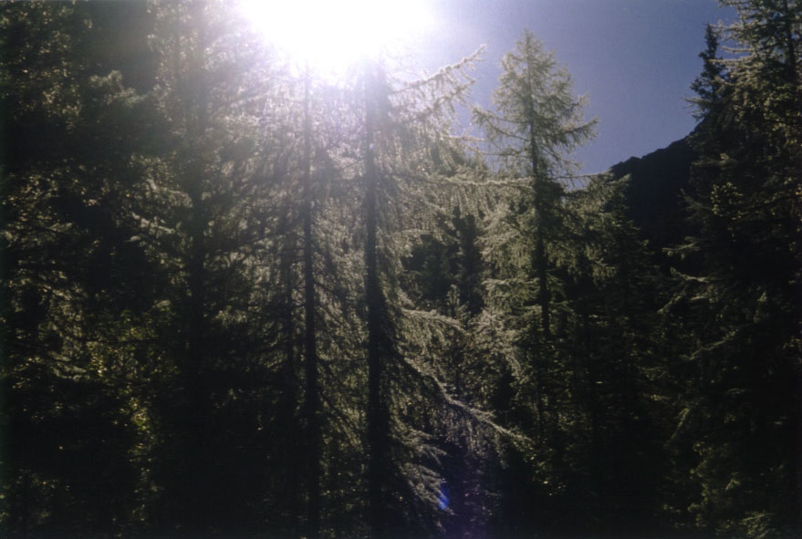 ������ ������ ��������� �����������