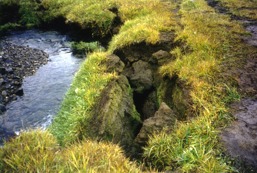 ������ ������� ������