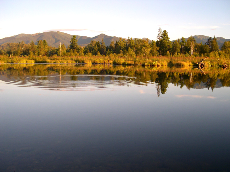 ������������� �����...