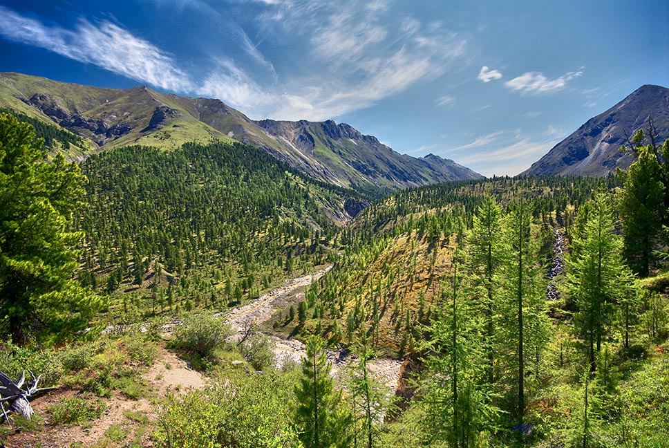 Фото саян и асель