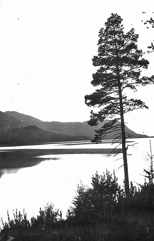 Озеро Устю-Дэрлиг-Холь от базы