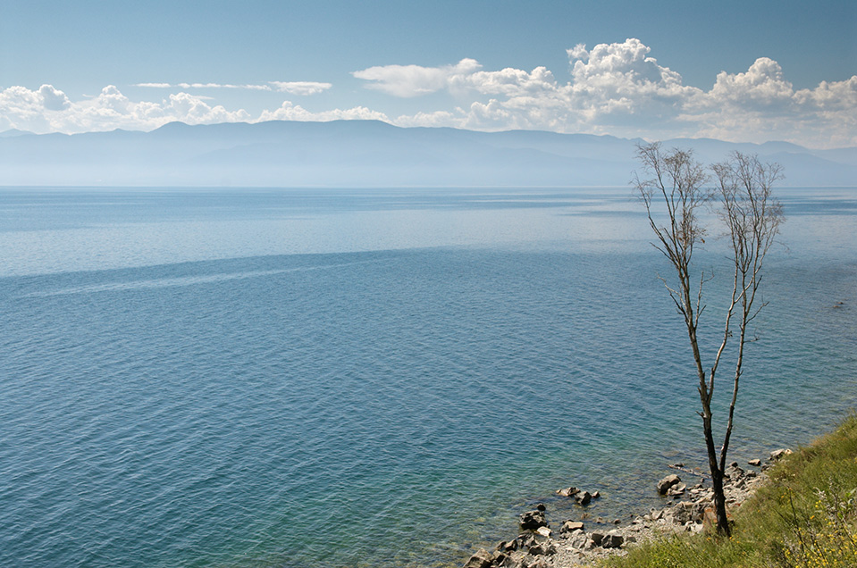 Байкал дерево с ленточками