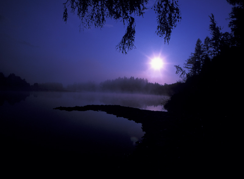 ������ ������