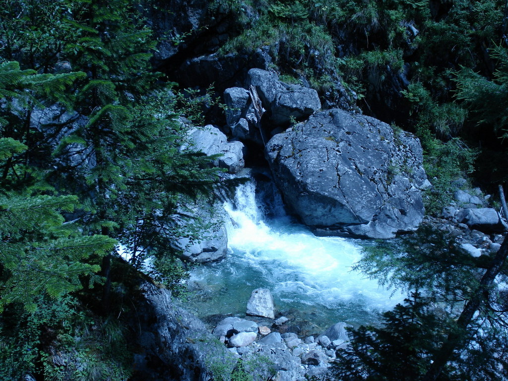 ������� �� ��������