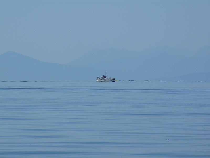 ����� "������"