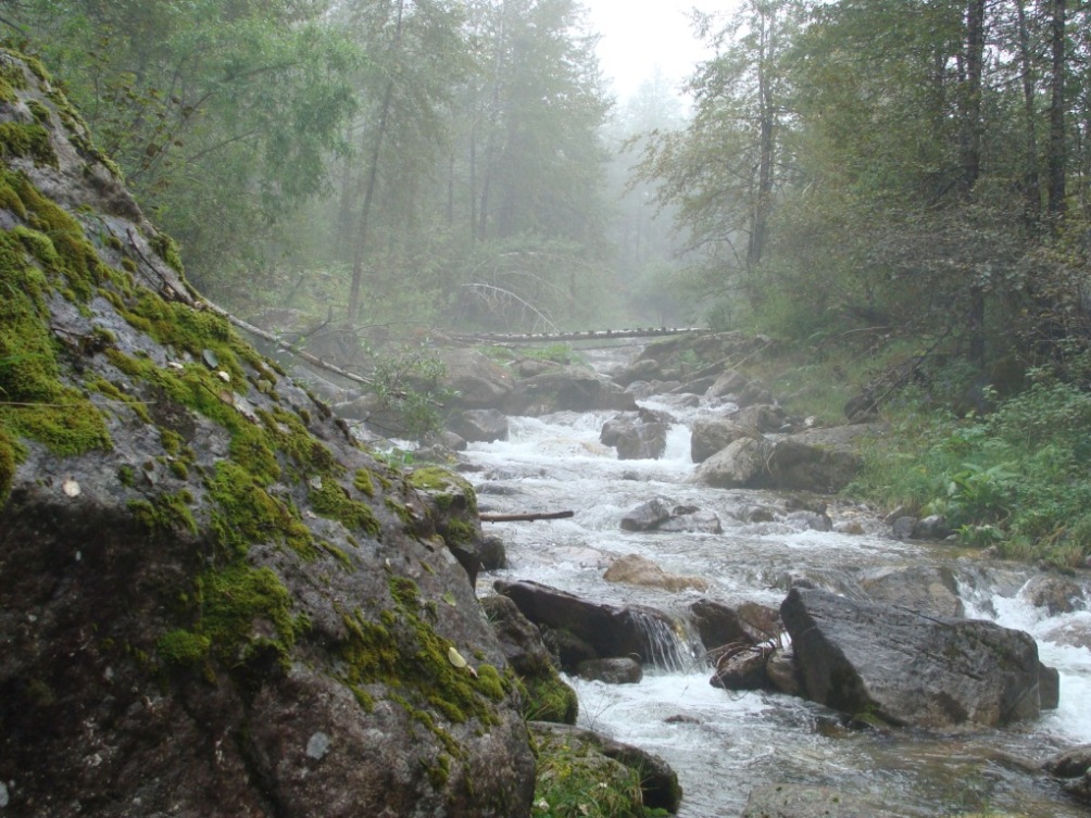 �����. ���������