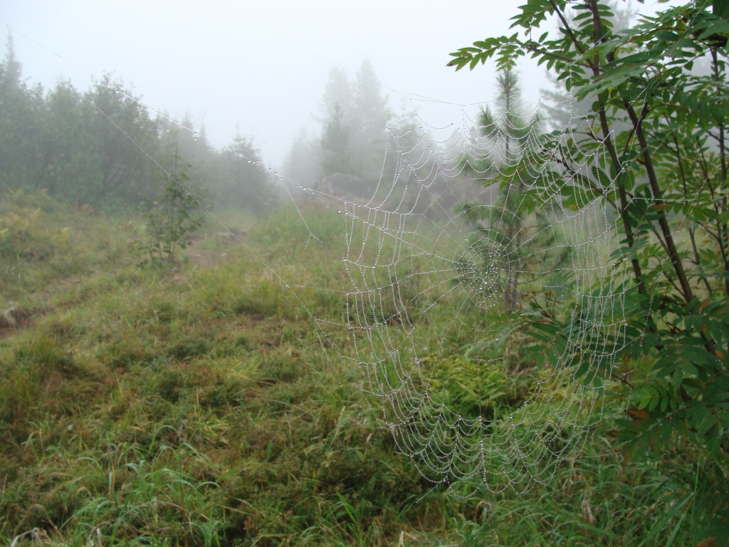 �����.�����.