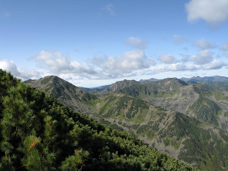 ������ ���� ;-)