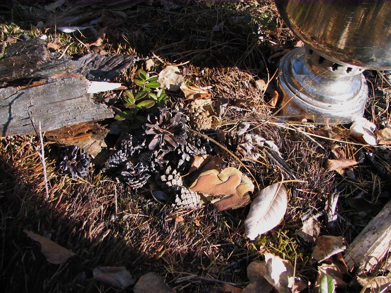 ���� �� ������...