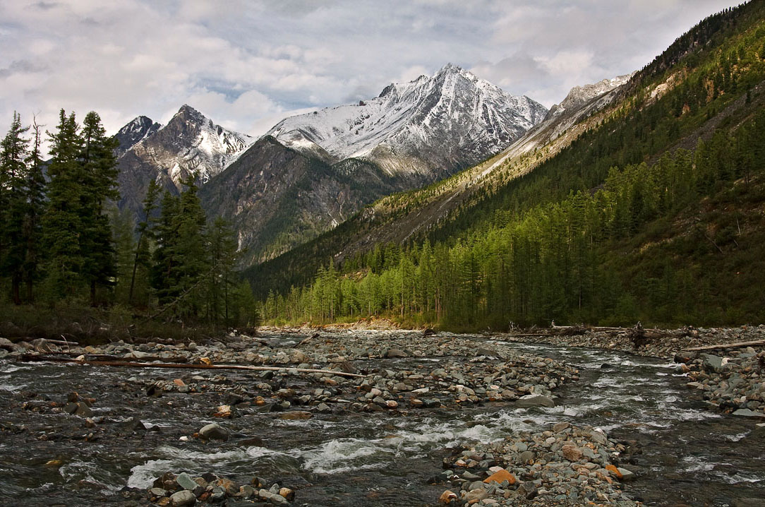 Шумак фото в хорошем качестве