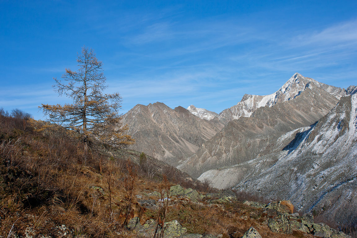 �� ������ ������ ������