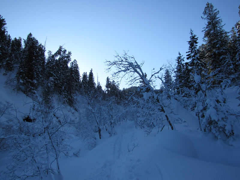 ���� ������