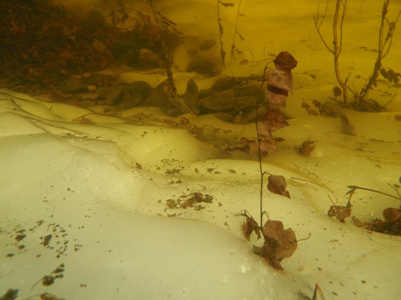 � �������� ����