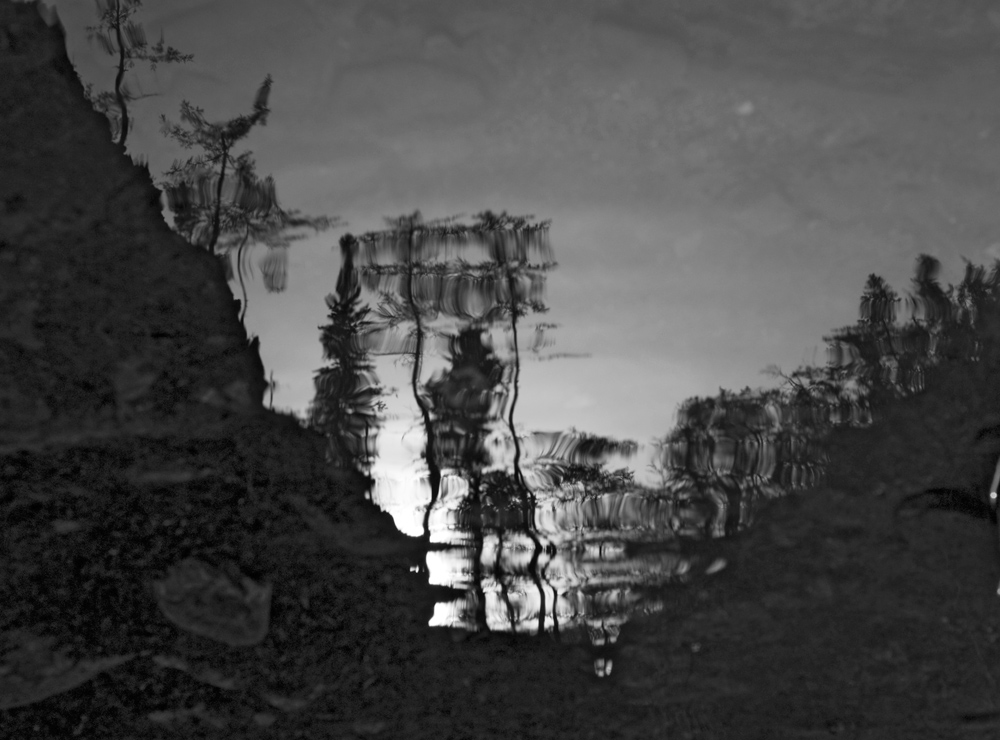 ������������� ������